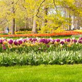 Justi?a e cuidado da cria??o