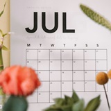 Oportunidades para julho