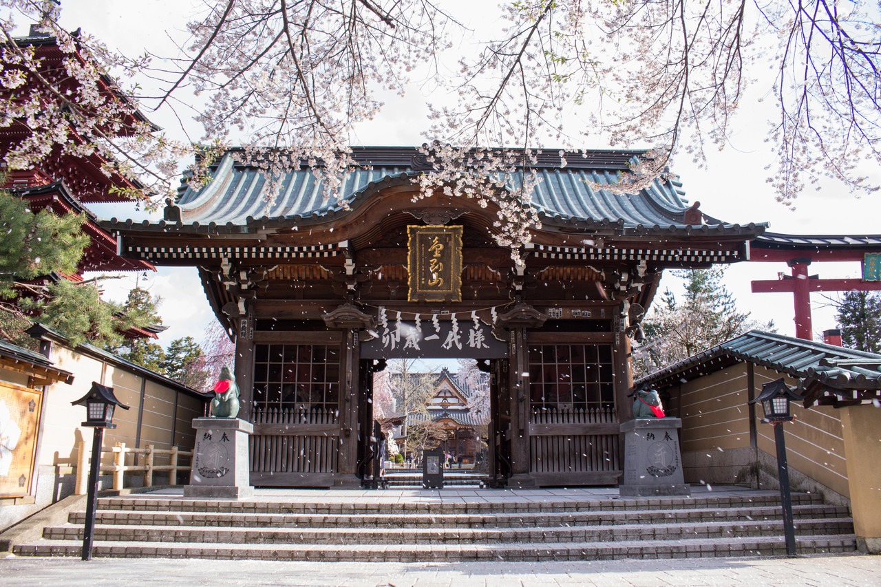 P&eacute;talas de cerejeira caindo em frente ao port&atilde;o de um templo budista, Saishoin, em Hirosaki, Aomori, Jap&atilde;o. Cr&eacute;dito: OMF